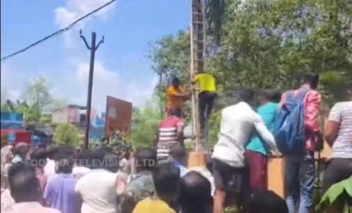 ନଡ଼ିଆ ତୋଳୁ ତୋଳୁ ଲାଗିଲା କରେଣ୍ଟ, ଚାଲିଗଲା ଜୀବନ