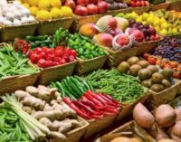 ଧାନ ଓ଼ ପରିବା ଚାଷୀ ଗଞ୍ଜେଇ ଚାଷ ପ୍ରତି ଆଗ୍ରହ : କାର୍ତ୍ତିକ ଆରମ୍ଭରୁ ହିଁ ପରିବା ଦର ଆକାଶ ଛୁଆଁ