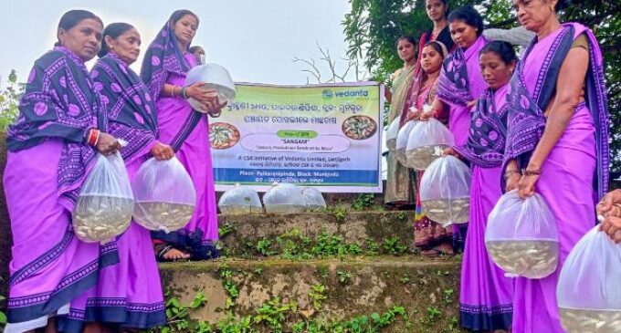 Vedanta Lanjigarh Creates New Income Stream for Farmers