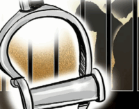 Nine more arrested in Assam for ‘celebratory’ social media posts on Delhi blast