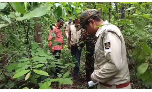 Tiger pugmarks spotted in Odisha’s Keonjhar forests, officials step up monitoring