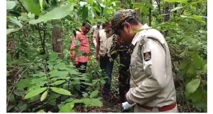 Tiger pugmarks spotted in Odisha’s Keonjhar forests, officials step up monitoring