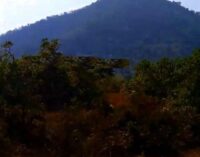 Boudh: Major Irregularities Alleged in CAMPA Plantation Project in Dambarugarh Reserve Forest