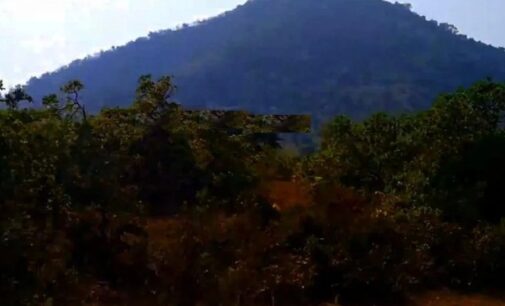 Boudh: Major Irregularities Alleged in CAMPA Plantation Project in Dambarugarh Reserve Forest