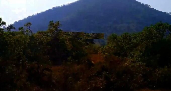 Boudh: Major Irregularities Alleged in CAMPA Plantation Project in Dambarugarh Reserve Forest