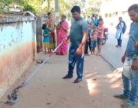 ବାଲିଗୁଡା : ବନ ବିଭାଗ କଲୋନୀ ପରିସରରୁ ସାପ ଉଦ୍ଧାର