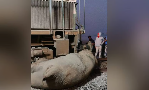 Five coaches, engine of Rajdhani Express derail after hitting elephant herd in Assam; seven jumbos dead