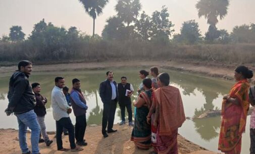 କଣ୍ଟାମାଳ ବ୍ଲକ ସମେତ ଜିଲ୍ଲାର ବିଭିନ୍ନ ବ୍ଲକର ଜଳଛାୟା ଓ ଉଦ୍ୟାନ କୃଷି ପ୍ରକଳ୍ପ ପରିଦର୍ଶନ କଲେ ନିର୍ଦ୍ଦେଶକ