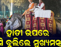 କଂସ ଦରବାରରେ ସାମିଲ ହେଲେ ମୁଖ୍ୟମନ୍ତ୍ରୀ; ହାତୀ ପିଠିରେ ବସି କଲେ ମଥୁରା ନଗରୀ ପରିକ୍ରମା