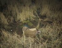 ବିଲ ପାଣିରେ ବୁଡ଼ି ବୃଦ୍ଧଙ୍କ ମୃତ୍ୟୁ