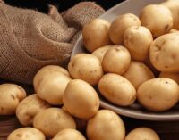 ସରକାରଙ୍କ ଆଳୁ ମିଶନ ଫେଲ : ଚାଷୀଙ୍କୁ ମିଳୁନି ବିହନ ଆଳୁ, ବିକ୍ରୀ ହେଉଛି ବଜାରରେ