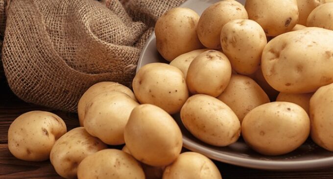 ସରକାରଙ୍କ ଆଳୁ ମିଶନ ଫେଲ : ଚାଷୀଙ୍କୁ ମିଳୁନି ବିହନ ଆଳୁ, ବିକ୍ରୀ ହେଉଛି ବଜାରରେ