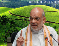 India–EU Free Trade Agreement: Assam poised for major gains