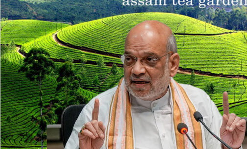 India–EU Free Trade Agreement: Assam poised for major gains