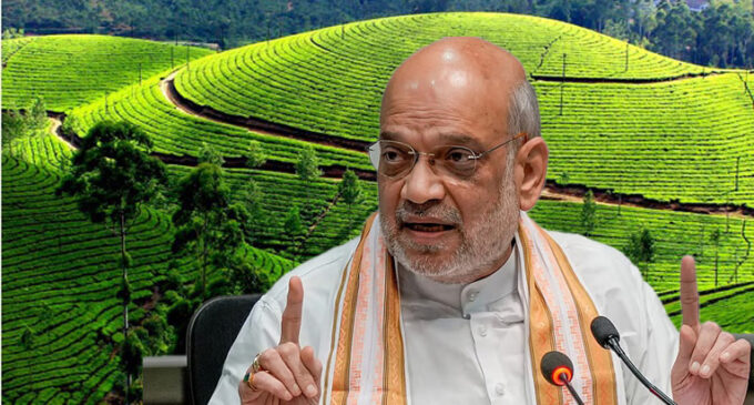 India–EU Free Trade Agreement: Assam poised for major gains