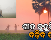 ଶୀତ, କୁହୁଡ଼ି ଭିତରେ ଖରାତାତିକୁ ଅନୁଭବ କରିବେ ଲୋକେ
