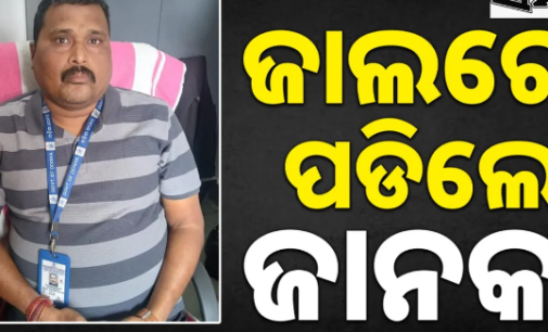 ମ୍ୟୁଟେସନ କରାଇ ଦେବାକୁ ଲାଞ୍ଚ ନେଉଥିଲେ ଆର୍‌ଆଇ, ମାଡ଼ିବସିଲା ଭିଜିଲାନ୍ସ
