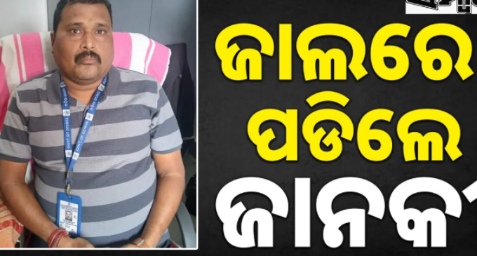 ମ୍ୟୁଟେସନ କରାଇ ଦେବାକୁ ଲାଞ୍ଚ ନେଉଥିଲେ ଆର୍‌ଆଇ, ମାଡ଼ିବସିଲା ଭିଜିଲାନ୍ସ