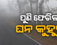 ରାଜ୍ୟକୁ ପୁଣି ଫେରିଲା ଘନ କୁହୁଡ଼ି ସାଙ୍ଗକୁ କୋହଲା ପାଗ