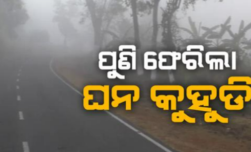 ରାଜ୍ୟକୁ ପୁଣି ଫେରିଲା ଘନ କୁହୁଡ଼ି ସାଙ୍ଗକୁ କୋହଲା ପାଗ
