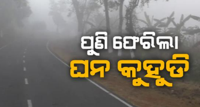 ରାଜ୍ୟକୁ ପୁଣି ଫେରିଲା ଘନ କୁହୁଡ଼ି ସାଙ୍ଗକୁ କୋହଲା ପାଗ