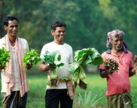Reliance Foundation’s support revives farming in Odisha’s Sorat village after 20 years