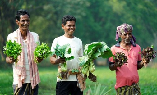 Reliance Foundation’s support revives farming in Odisha’s Sorat village after 20 years