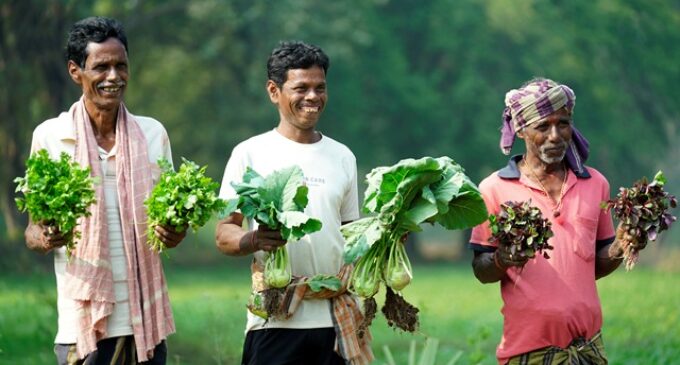 Reliance Foundation’s support revives farming in Odisha’s Sorat village after 20 years