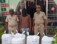 କାଲେଶ୍ବର ନିକଟରୁ ୧୨୫ କେଜି ଗଞ୍ଜେଇ ଜବତ ମାମଲାରେ ଅଭିଯୁକ୍ତକୁ କୋର୍ଟ ଚାଲାଣ