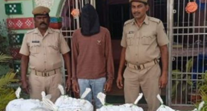 କାଲେଶ୍ବର ନିକଟରୁ ୧୨୫ କେଜି ଗଞ୍ଜେଇ ଜବତ ମାମଲାରେ ଅଭିଯୁକ୍ତକୁ କୋର୍ଟ ଚାଲାଣ