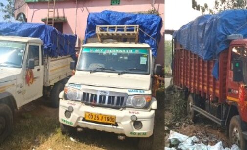 ନୟାଗଡ଼ : ୨ ପିକ୍ ଅପ୍ ଓ ୧ଟି ଆଇଚର ସହ ୩ଟି ଗୁଟଖା ବୋଝେଇ ଗାଡ଼ିକୁ ଜବତ କଲା ପୁଲିସ