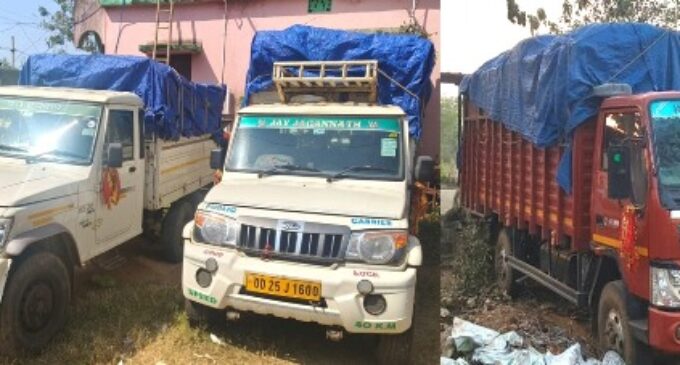 ନୟାଗଡ଼ : ୨ ପିକ୍ ଅପ୍ ଓ ୧ଟି ଆଇଚର ସହ ୩ଟି ଗୁଟଖା ବୋଝେଇ ଗାଡ଼ିକୁ ଜବତ କଲା ପୁଲିସ