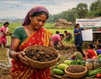 Making Odisha’s climate action plan work for women farmers