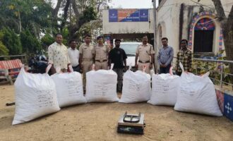 କଣ୍ଟାମାଳ ଥାନା ସମ୍ମୁଖରୁ କାର ସହ ୨୯୬ କେଜି ଗଞ୍ଜେଇ ଜବତ ମାମଲାରେ ଅଭିଯୁକ୍ତକୁ କୋର୍ଟ ଚାଲାଣ