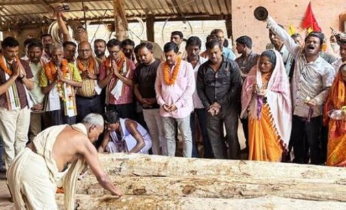 ମହାପ୍ରଭୁଙ୍କ ରଥଯାତ୍ରା ପାଇଁ କାଠ ଚିରା, ଖପୁରିଆ ସରକାରୀ କରତ କଳରେ ଚିରଟ
