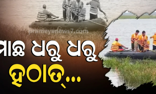 ମାଛ ଧରୁଥିବା ବେଳେ ଘଟିଲା ଅଘଟଣ , ମହାନଦୀରେ ବୁଡି ଜଣେ ମୃତ