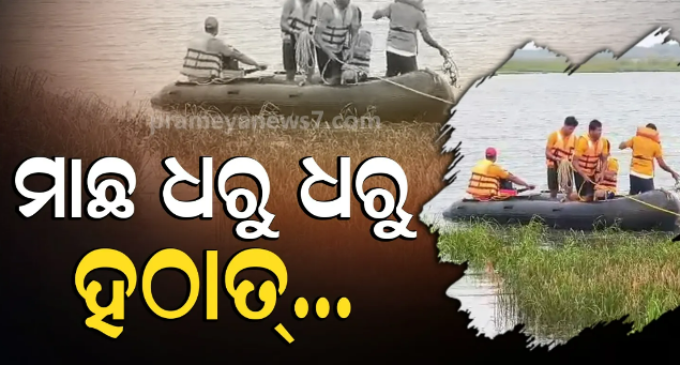 ମାଛ ଧରୁଥିବା ବେଳେ ଘଟିଲା ଅଘଟଣ , ମହାନଦୀରେ ବୁଡି ଜଣେ ମୃତ