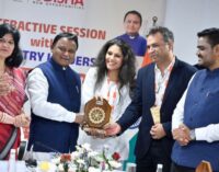 Luminous Bets Big on Odisha with Investments in Solar and Energy