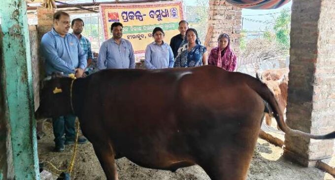 Hindalco distributes milch cows to women farmers under Project Vasudha