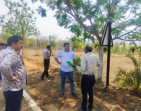ଟିକରପଡା ଇକୋ-ଟୁରିଜମ୍ ରେ ସମୃଦ୍ଧ ହେବ, ସ୍ଥିତି ସମୀକ୍ଷା ସହିତ ତଳଗାଁ ପରିଦର୍ଶନ କଲେ ଜିଲ୍ଲାପାଳ