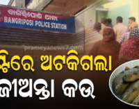 ମାଛ ଧରିବା ବେଳେ ପାଟିରେ ପଶିଗଲା ଜୀବନ୍ତ କଉ ମାଛ, ଚାଲିଗଲା ଯୁବକଙ୍କ ଜୀବନ