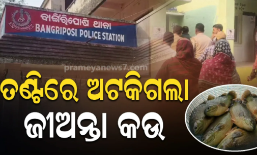 ମାଛ ଧରିବା ବେଳେ ପାଟିରେ ପଶିଗଲା ଜୀବନ୍ତ କଉ ମାଛ, ଚାଲିଗଲା ଯୁବକଙ୍କ ଜୀବନ