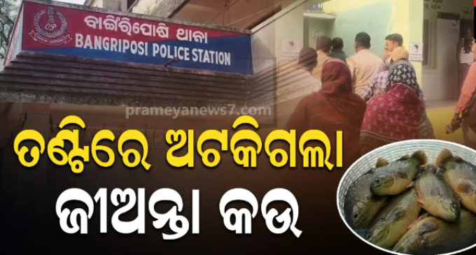 ମାଛ ଧରିବା ବେଳେ ପାଟିରେ ପଶିଗଲା ଜୀବନ୍ତ କଉ ମାଛ, ଚାଲିଗଲା ଯୁବକଙ୍କ ଜୀବନ