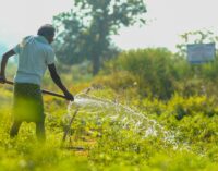 Big Accomplishment: Watershed initiative revives irrigation prospects in Kalahandi