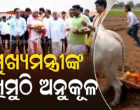 ଅଖିମୁଠି ଅନୁକୂଳ କରି ଜମିରେ ହଳ କଲେ ମୁଖ୍ୟମନ୍ତ୍ରୀ