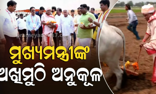 ଅଖିମୁଠି ଅନୁକୂଳ କରି ଜମିରେ ହଳ କଲେ ମୁଖ୍ୟମନ୍ତ୍ରୀ