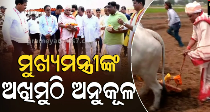 ଅଖିମୁଠି ଅନୁକୂଳ କରି ଜମିରେ ହଳ କଲେ ମୁଖ୍ୟମନ୍ତ୍ରୀ