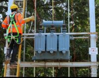 TPNODL strengthens distribution infrastructure to safeguard summer power reliability