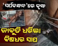 ସାପ ସହ ଦୁଇ ଘଣ୍ଟା ସଂଘର୍ଷ, ପକ୍ଷାଘାତ ରୋଗୀଙ୍କ ହାତକୁ ଚେୟାରରେ ବାନ୍ଧି ରଖିଥିଲା ବିଷଧର ସର୍ପ