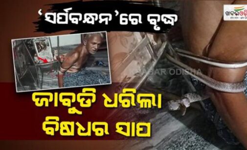 ସାପ ସହ ଦୁଇ ଘଣ୍ଟା ସଂଘର୍ଷ, ପକ୍ଷାଘାତ ରୋଗୀଙ୍କ ହାତକୁ ଚେୟାରରେ ବାନ୍ଧି ରଖିଥିଲା ବିଷଧର ସର୍ପ
